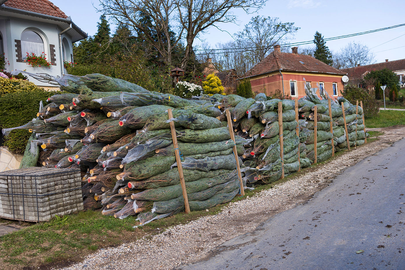 fenyok_MTI_VargaGyorgy_231123