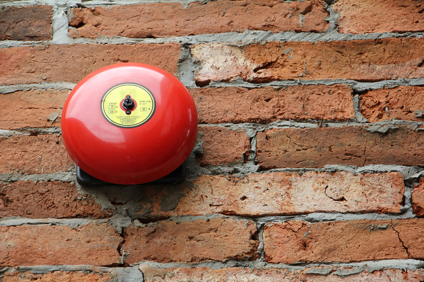 riado-csengo_freepik-smilephotoap_20250131