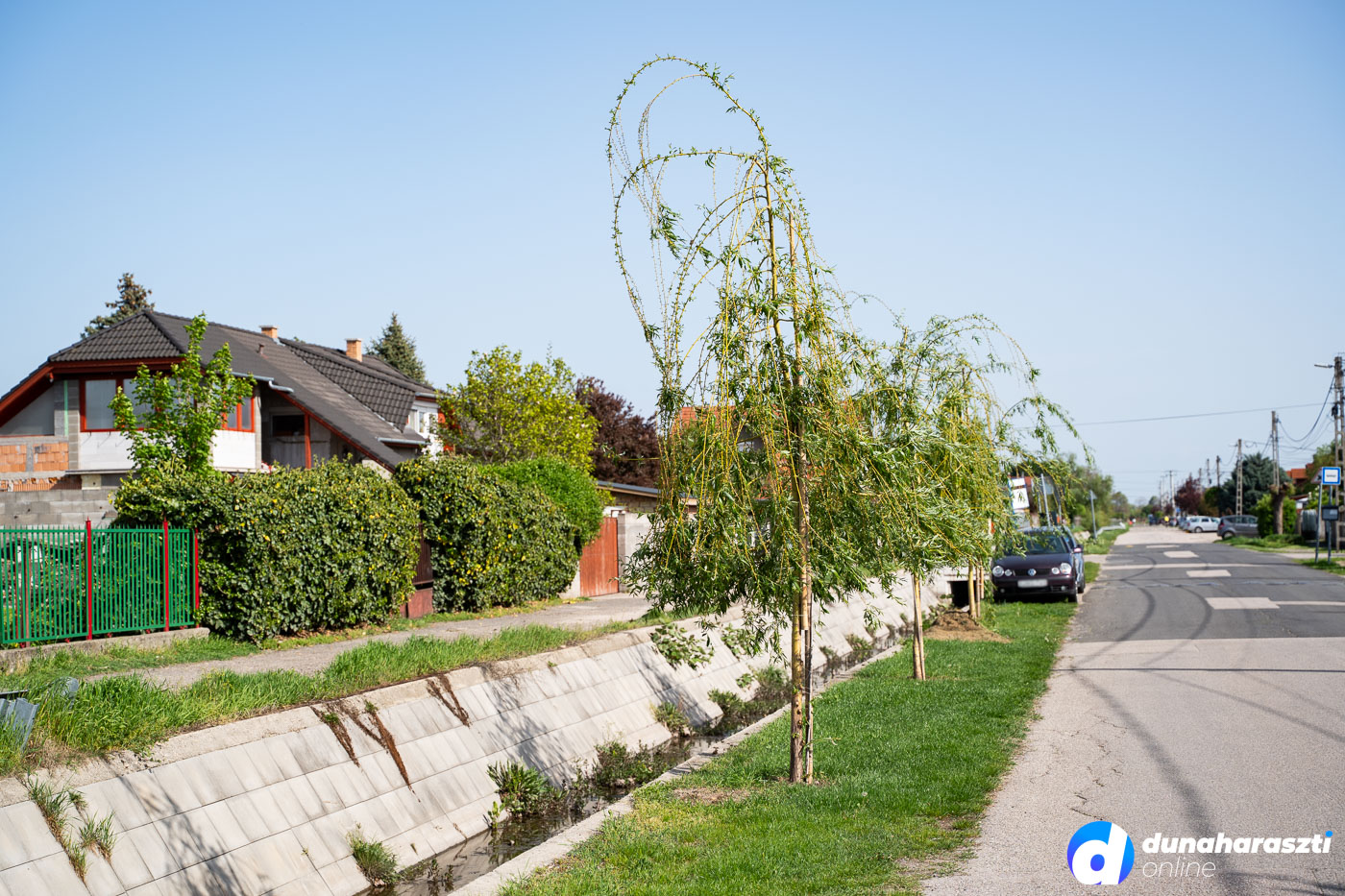 haraszty-ferenc-utca-csatorna-faultetes_dho_20250422-1