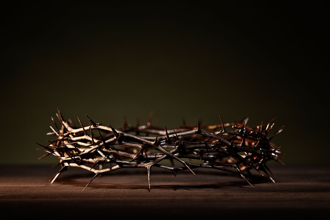 toviskorona_freepik_250419