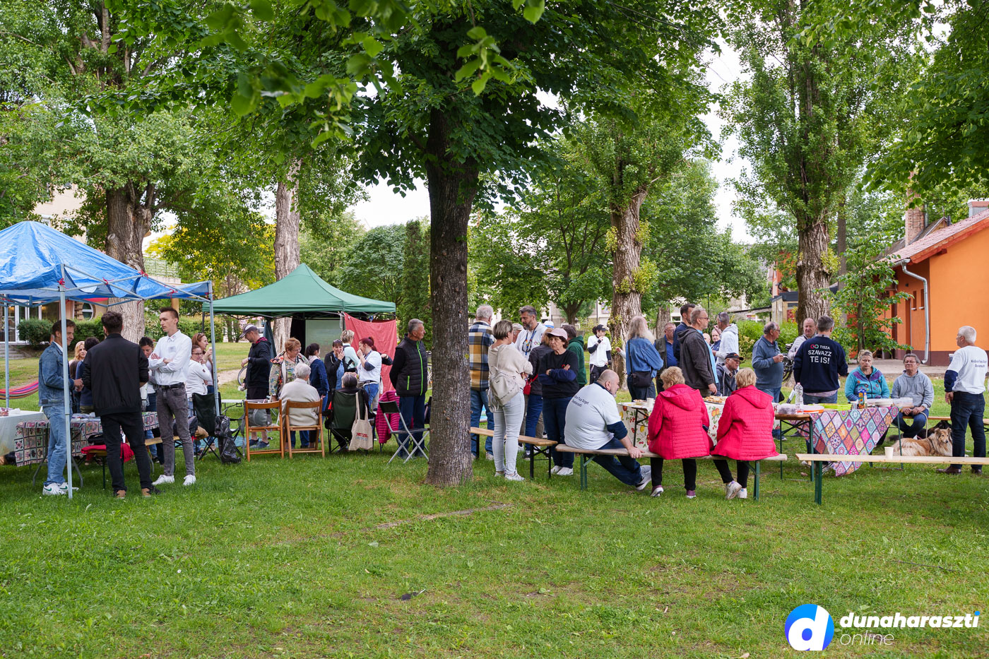 kisduna-tisza-piknik_dho_20250524-4