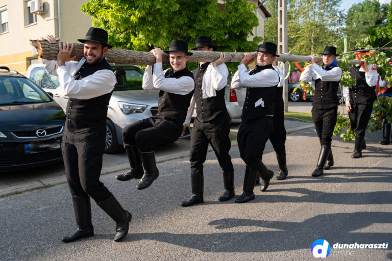 Májusfa állítás a Dunaharaszti Sváb Tájházban, fotó: dho