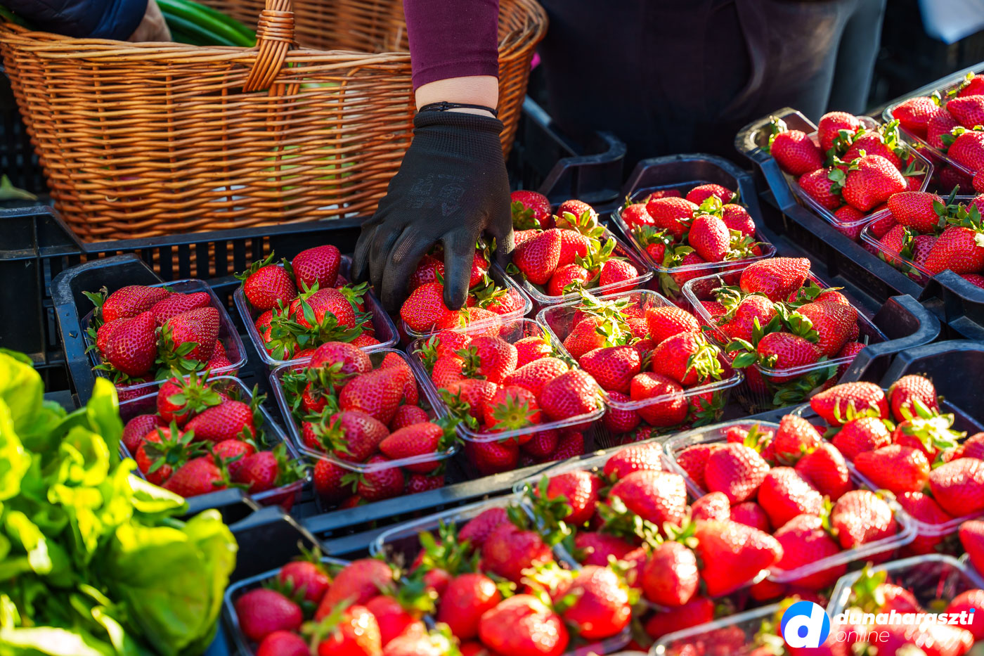 piac-piaci-arak_dho_20250510