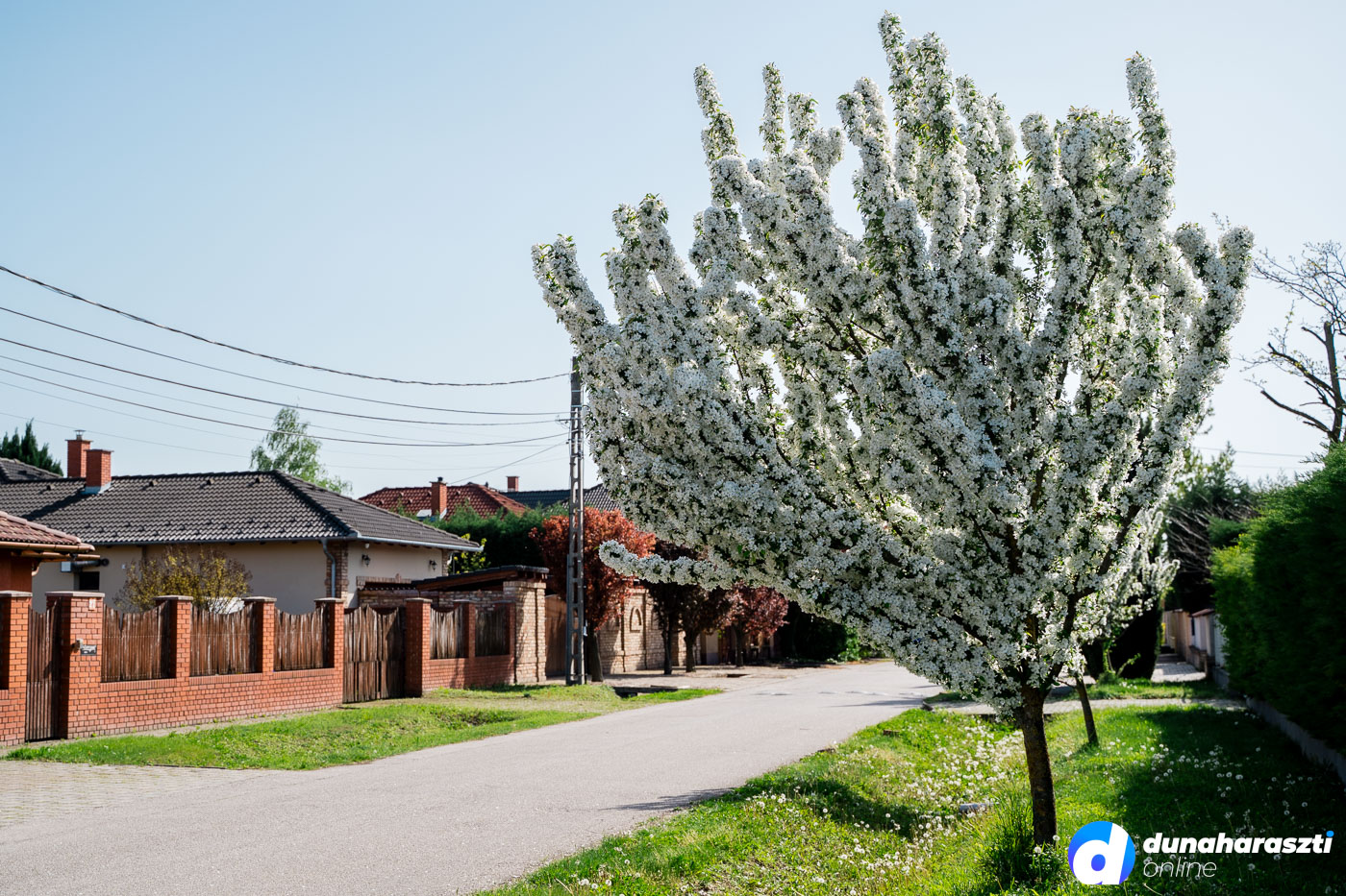 kinekavarosa_dho_20250919