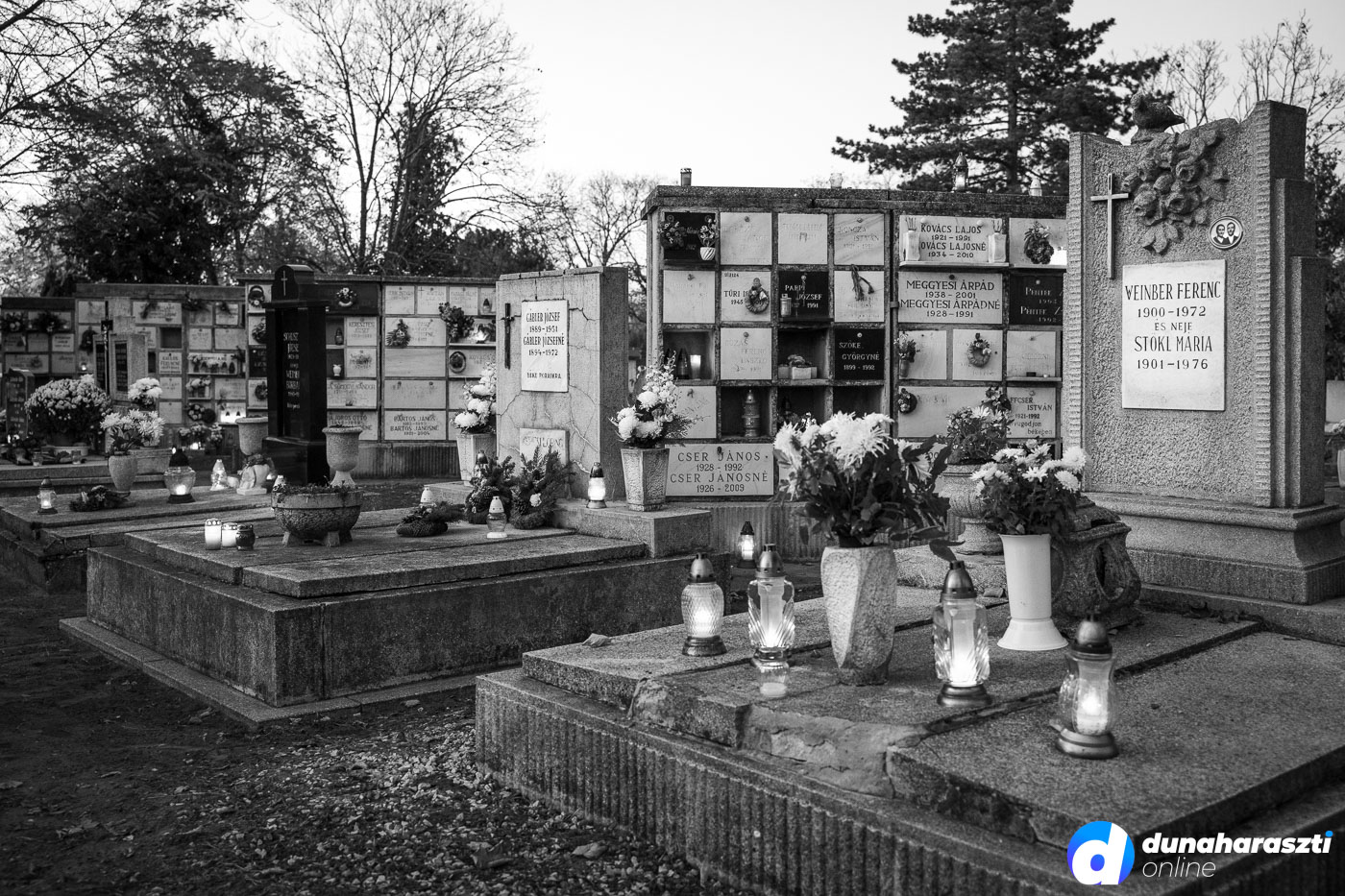 dunaharazti-temeto_dho_20251102