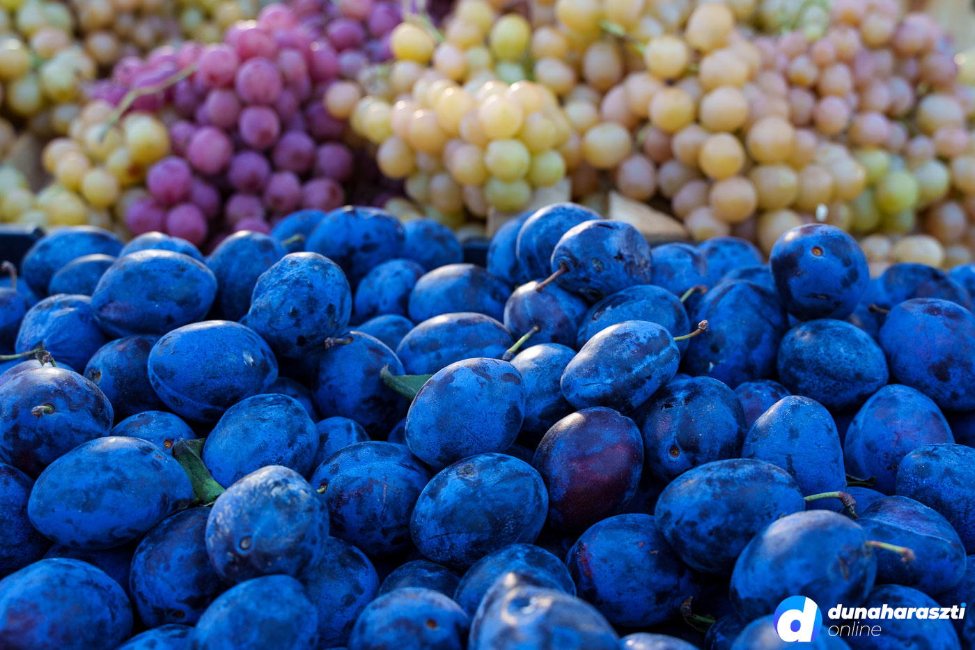 piac-piaci-arak_dho-2