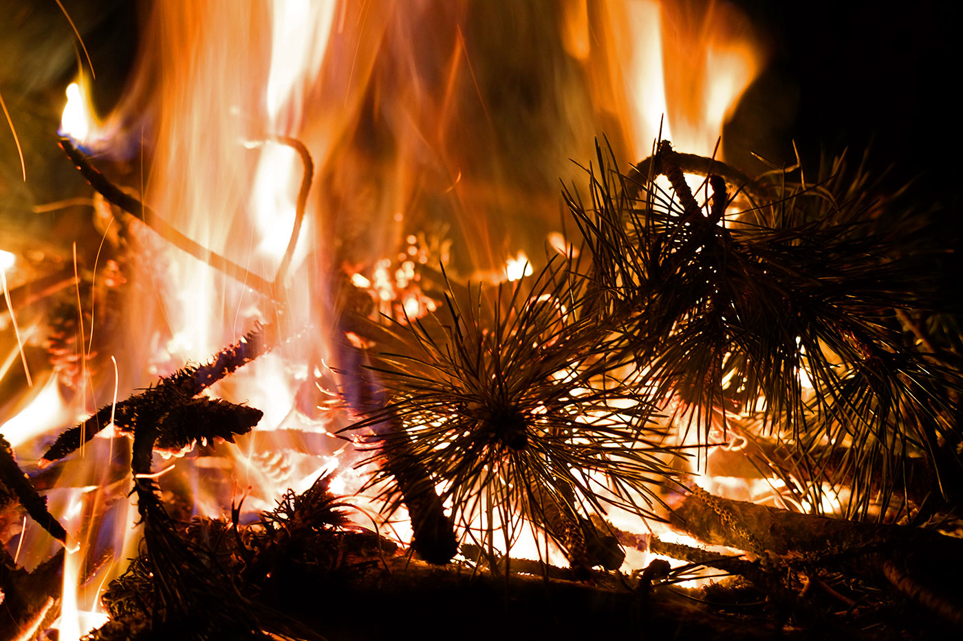 egofenyo_freepik_EyeEm_251216