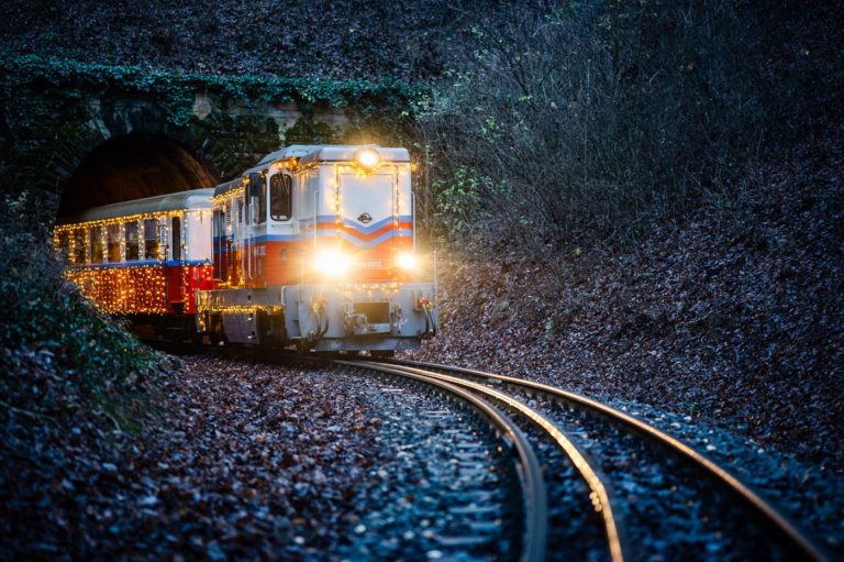 gyermekvasutfenyvonat.251230