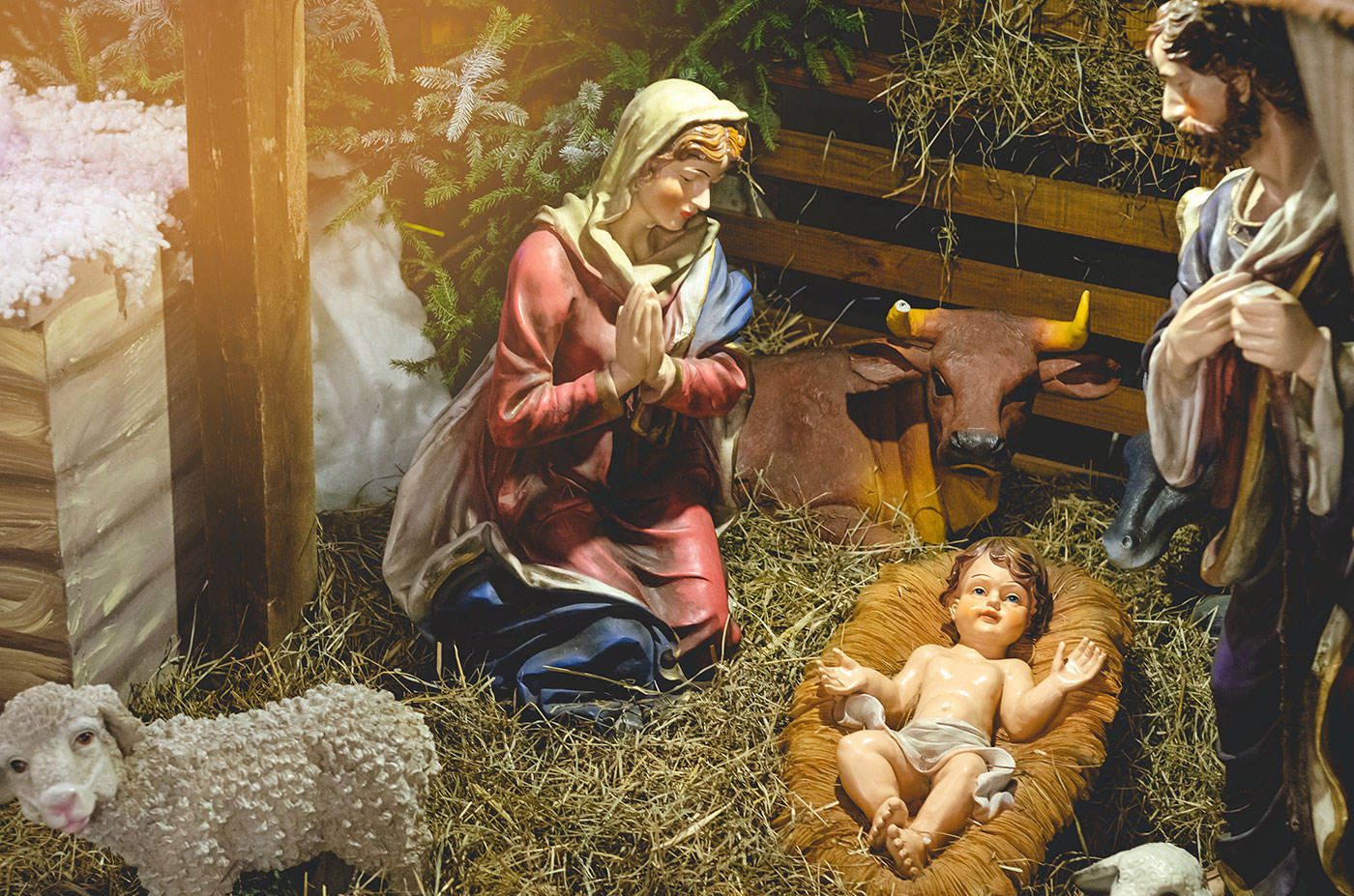 jaszolbetlehem_freepik_HalinskyiMaksym_251223