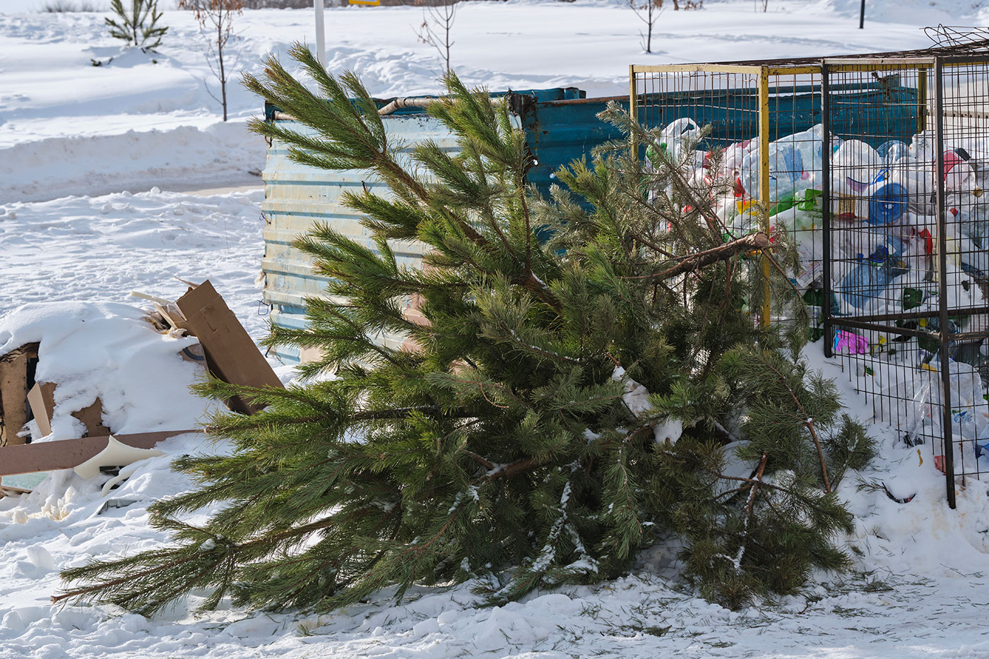 kidobottfenyo_freepik_freeman777_260116