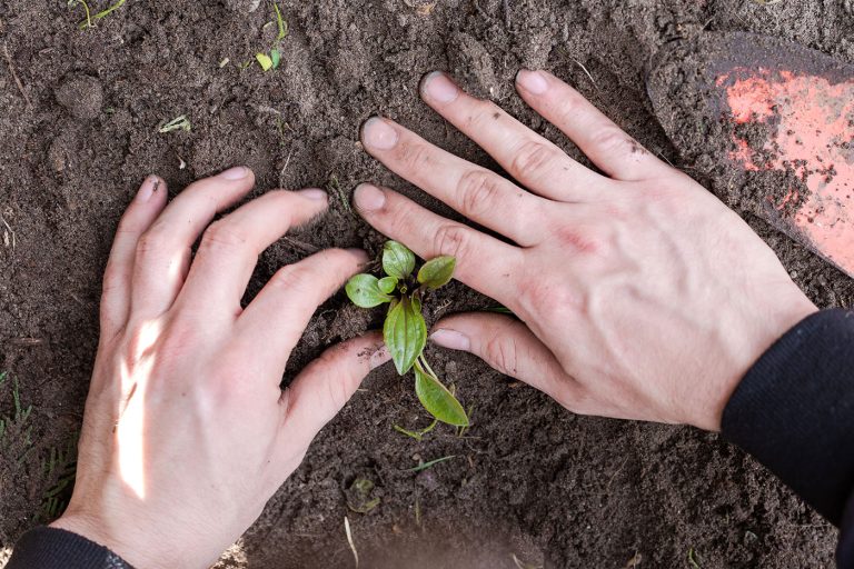 mezogazdasag_freepik_annabel146_260130