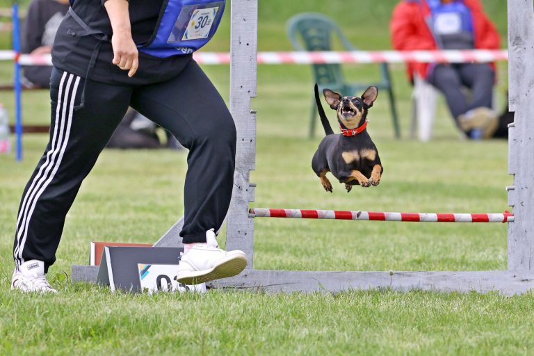 ebugrato-bajnoksag_foto_KremniczkyMagdolna13_20260422-2